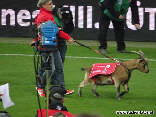 2016_11_26_FcKoeln_FcAugsburg_26.jpg