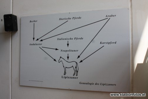 2013_06_09_SVHeldenberg_Maissau_059.jpg