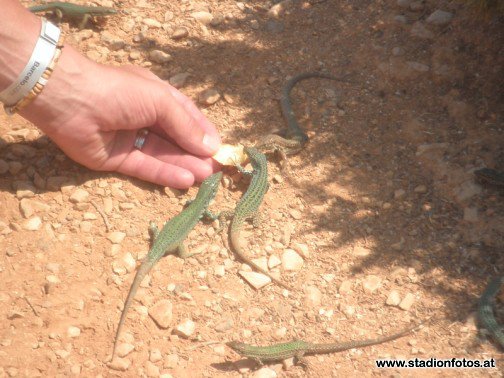 2013_08_25_Formentera_Binisallem_84.jpg